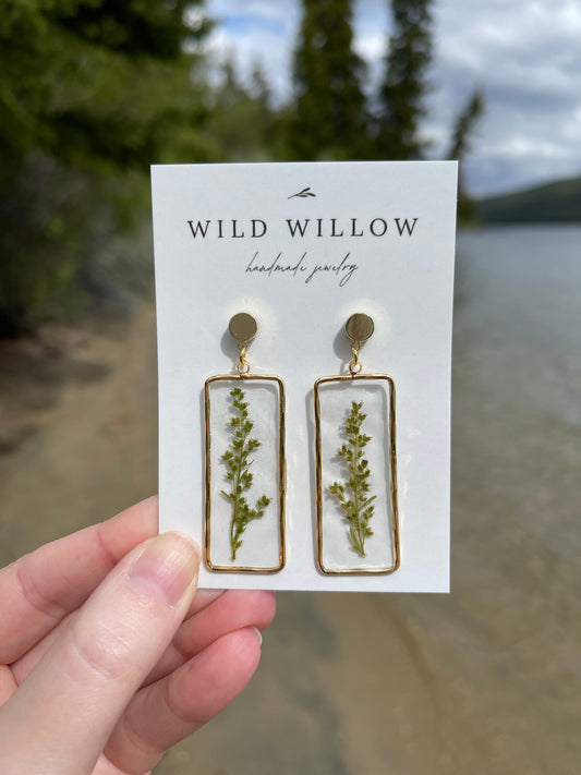 Wild Harvested Sagebrush Earrings | 18k Gold Plated